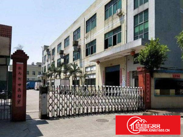 清溪荔横村一楼带装修220平厂房分租