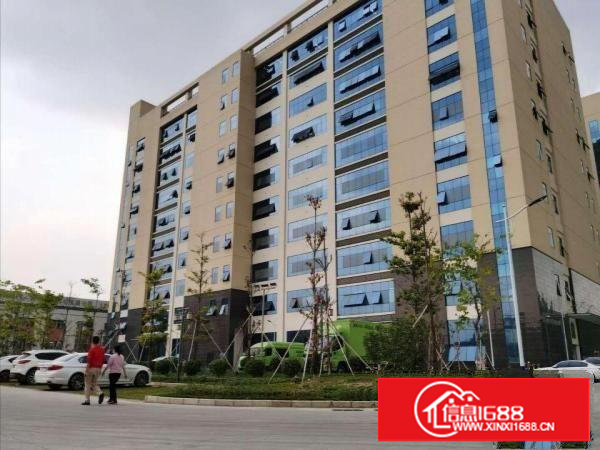 塘夏大坪工业园5万平方厂房出租200起租一楼库房无尘车间招租