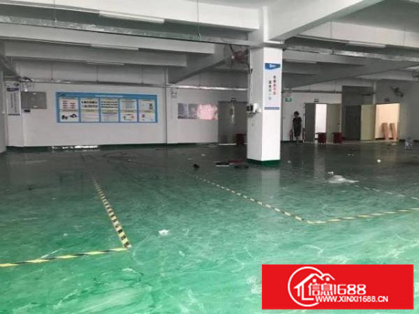 福永凤凰500-2300平厂房招租