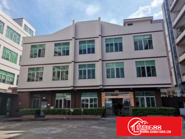 万江标准独门独院厂房12500平方出租，上市公司！