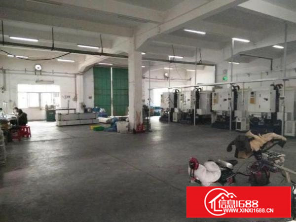 塘厦振兴围,1楼500,高6.5,带简装修,租16