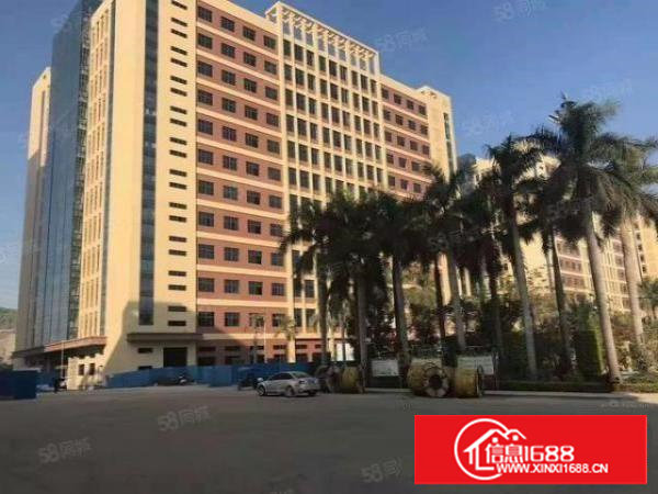 全新厂房出租！塘厦独院厂房21000平米可分租，现成装修