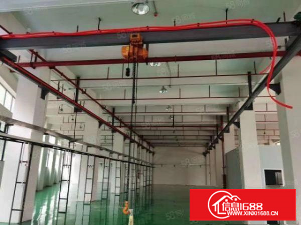 全新装修工业园一楼1200平方，6.5米高，带行车地坪漆，