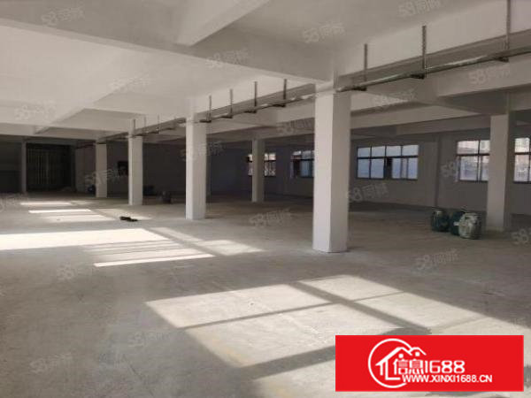 企石镇独门独院厂房3600平米出租工业用地可办环评