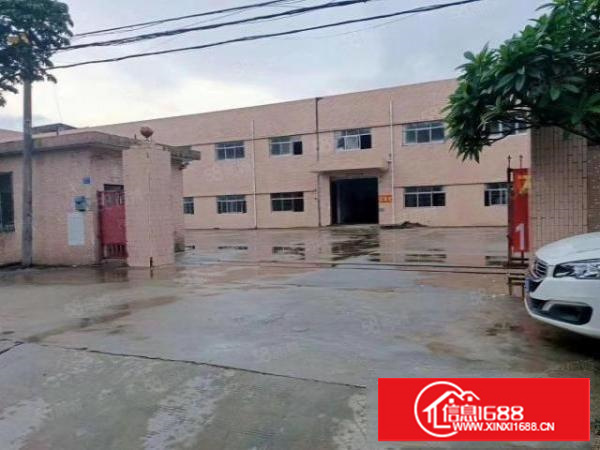 新出独门独院厂房价格实惠