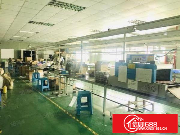 观澜碧澜路厂房出租700平带装修不要转让费