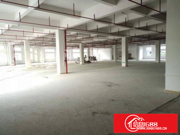 虎门靠长安自建重工业厂房欢迎各方老板莅临叁观指导。