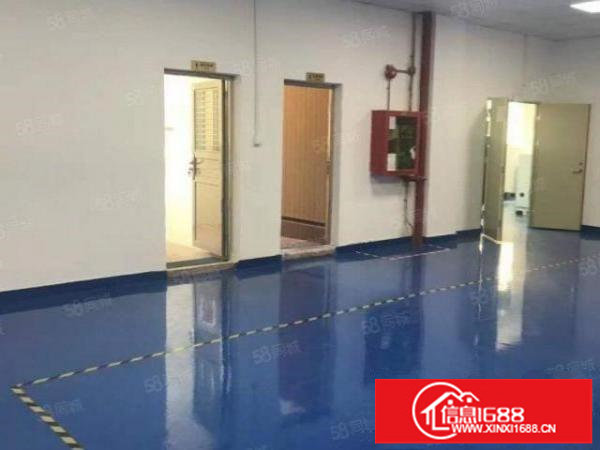 坑梓红本厂房900平米精装修全新地坪漆