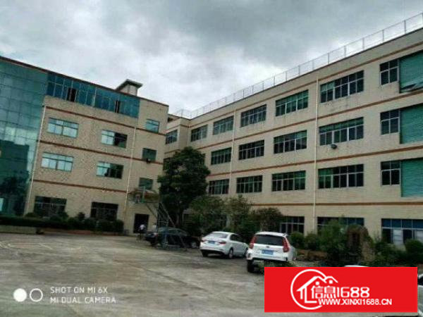 布吉东站原房东独院红本厂房12000平方出租，可分