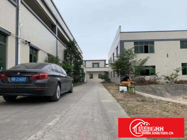 石湾钢构厂房砖墙到顶钢结构厂房出租国有土地可办环评高9米