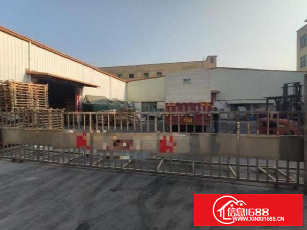 企石镇新出独院钢构5000平方