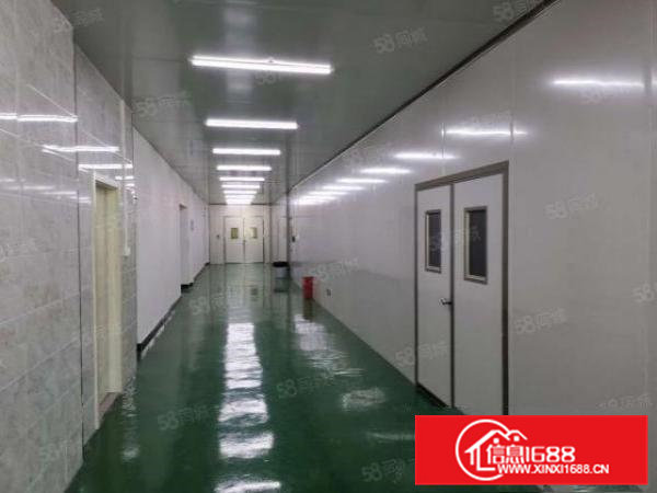 大岭山镇新出医用口罩无尘车间8000平