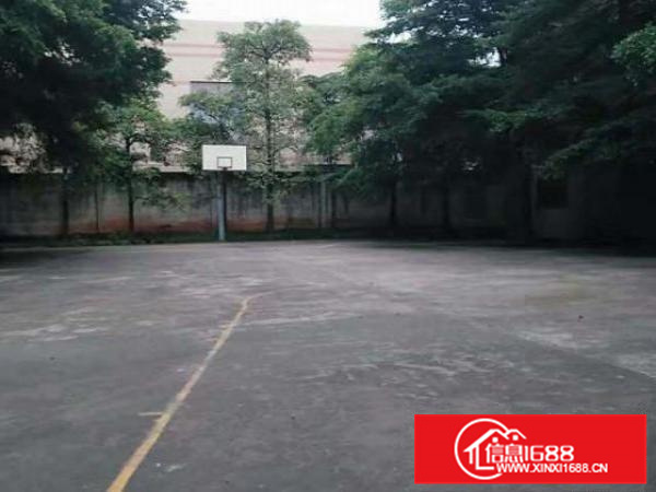 全新工业区独院厂房出租、可分租、空地大、交通方便、可办环评