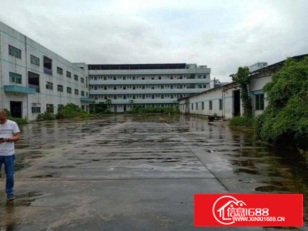 洁净车间豪华办公室,无转让费,1000平,超低价