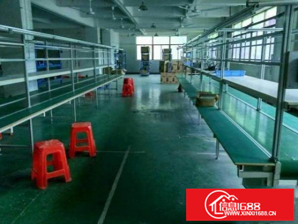 龙岗区五联新出豪华装修厂房1500平米招租