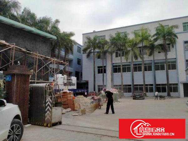 东莞大朗洋乌可办环评原房东独院厂房6600平方出租可分租