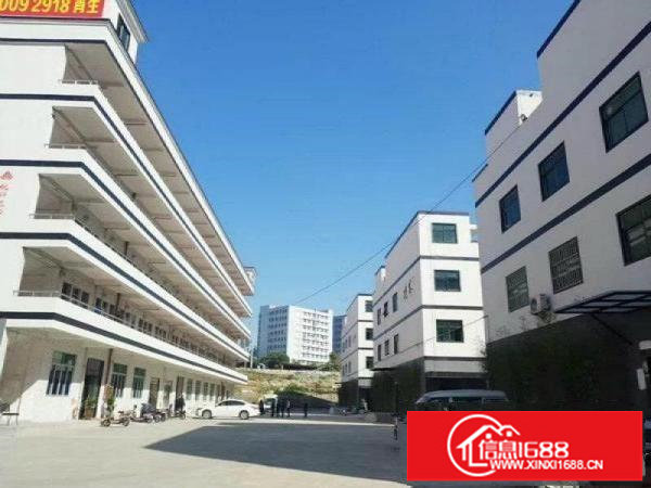 特惠厂房招租，龙华大浪，300平起租，带精装修