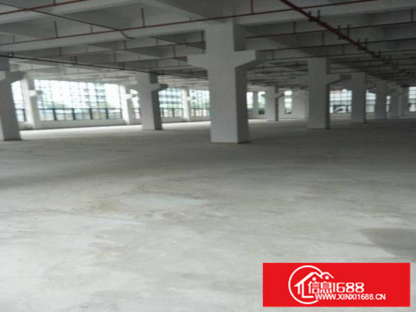 带牛角到梁6.5米标准一楼4000平方