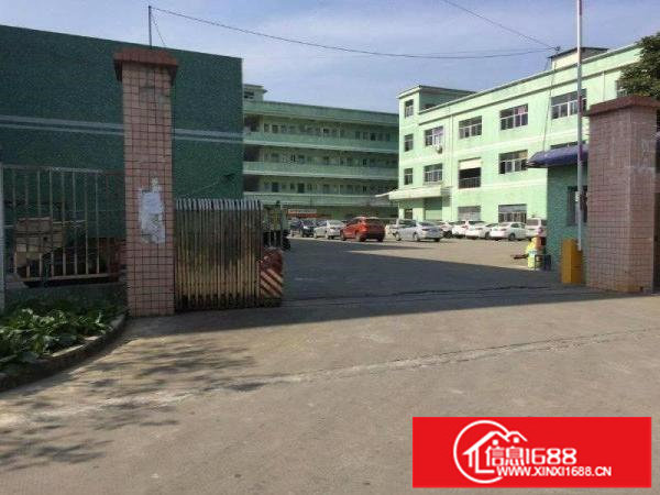 横坪路边坪山碧岭二楼带装修厂房500平分租