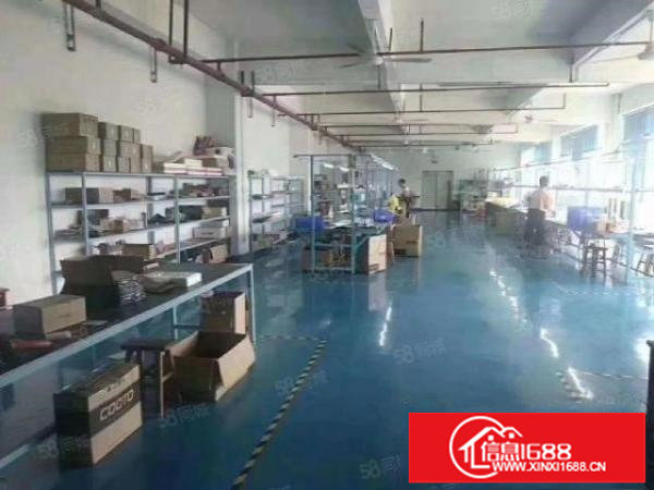 福永厂房出租1000平方精装修工业园区找厂房深圳厂房大小分租