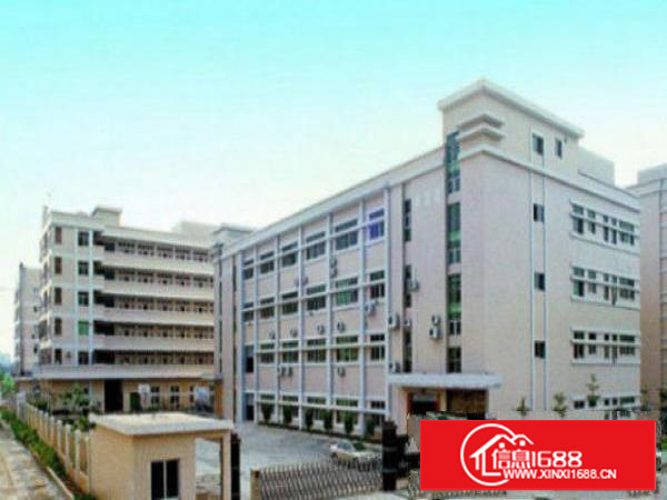 万江带现成装修标准一楼600或1000平方招租现成水电，宿舍