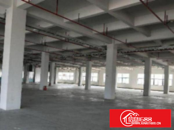 万江标准1400平方600或1200㎡出租