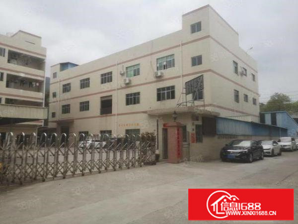 低价出租大利主路边原房东独院4500平带装修可分租