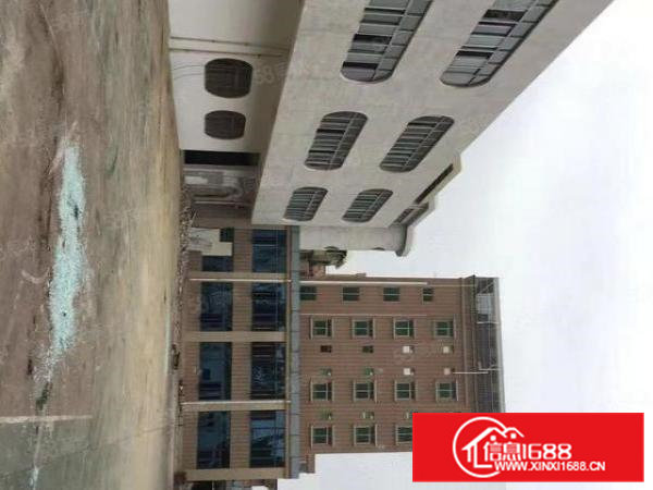 高埗冼沙中心路,独门独院花园式超靓厂房出租