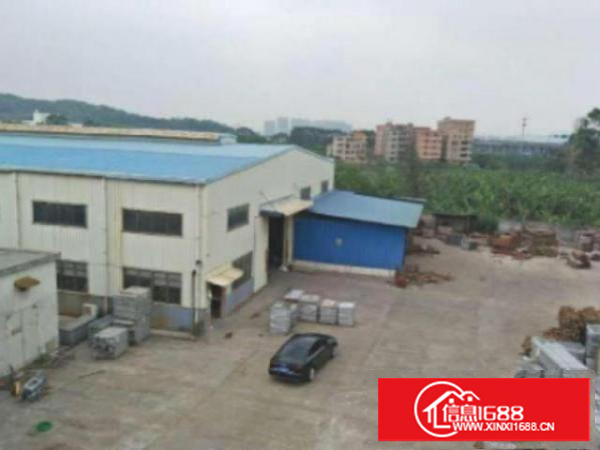 万江新出花园式独院单一层钢构厂房2700平方出租