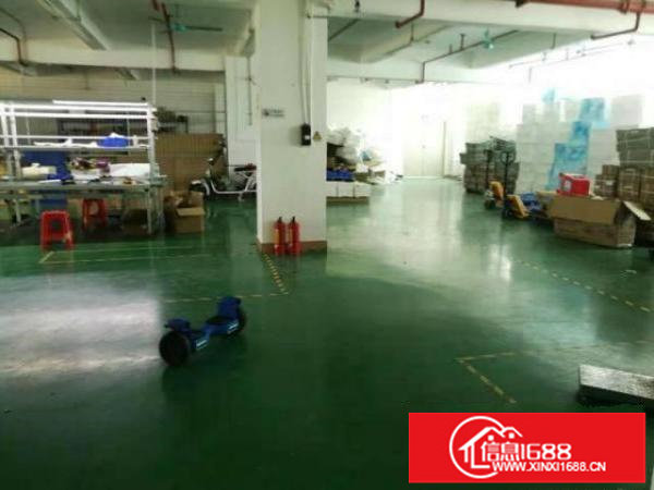 布吉李朗2万平方红本厂房出租100分租一楼高度6米