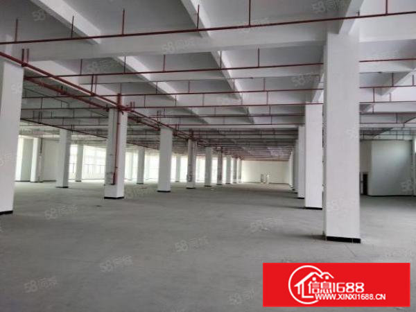 寮步镇新出全新独院厂房院子大形象好可办环评可分租