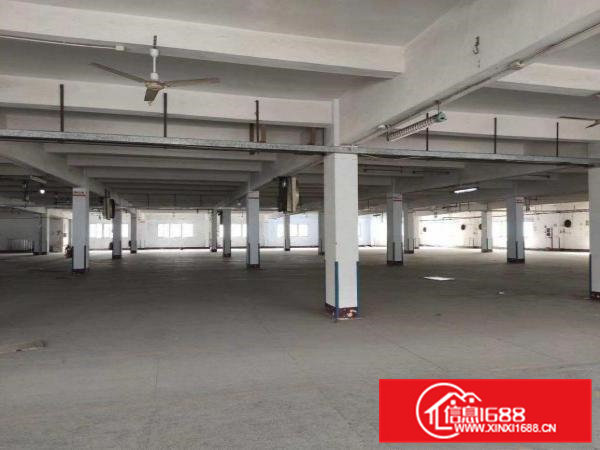 清溪国有证厂房1200㎡起分租！！