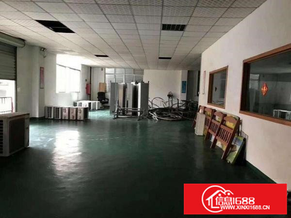 大岭山原房东独院标准厂房出租现成办公室现成装修