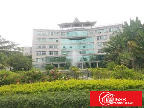 出租丨大浪商业中心附近一楼1745平方厂房大小可分停车位充足