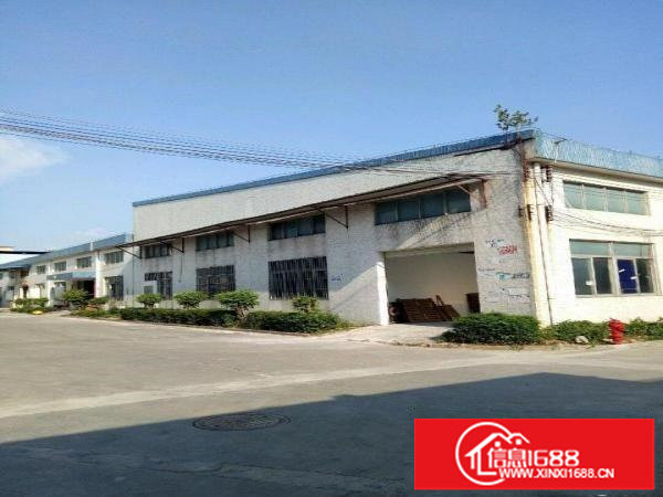 坪山石井比亚迪旁钢结构厂房1300平米出租