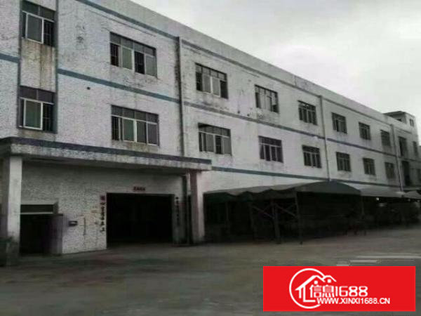 龙岗坪地北通道或龙岗大道钢构厂房1300平出租