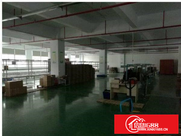 桥头田新主干道边上楼上1400平带装修厂房出租带电梯