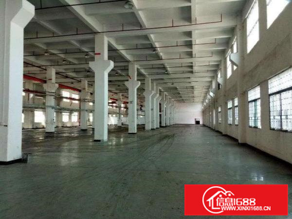 常平靠黄江新出标准厂房分租8米高一楼1100平米