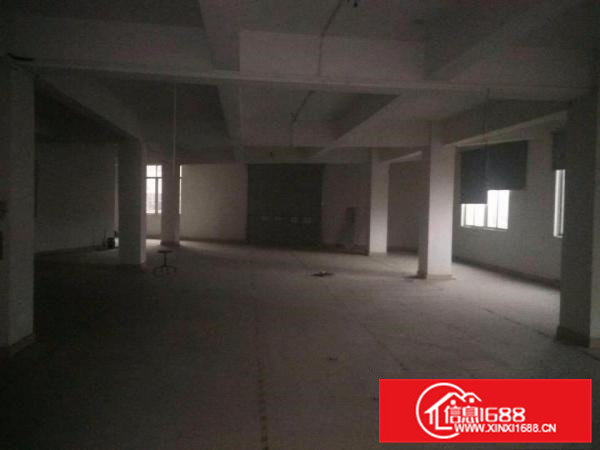 厂房出租（可以分租）-横沥