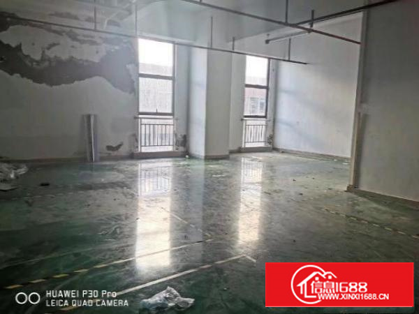 甲子塘靓盘，工业园大气，红本厂房