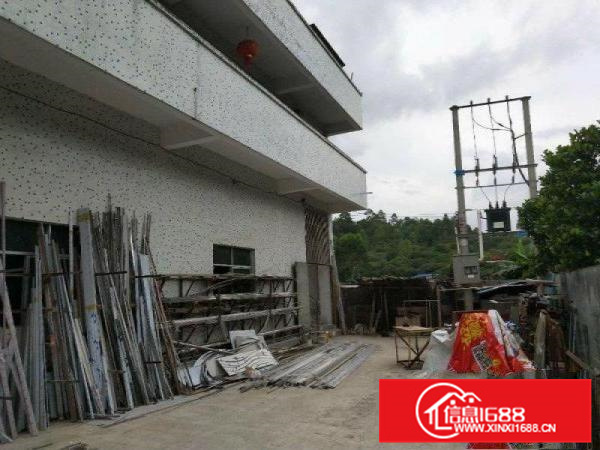 惠阳秋长新出2200平独门独院可喷油钢结构厂房