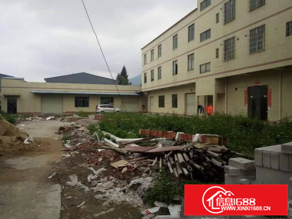 镇隆204国道边村委3300平标准厂房，无公摊可办证。