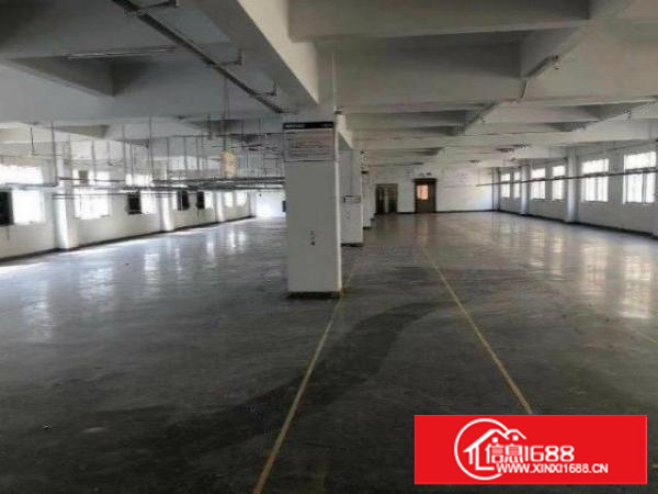 石排田寮原房东独院厂房，一栋两层3600平方米出租