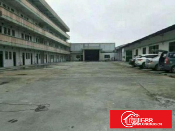 万江环城路边独院单一层厂房6000平方出租带消防喷淋中间无立