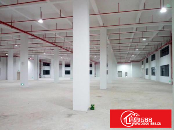 惠阳秋长原房东950平方厂房出租