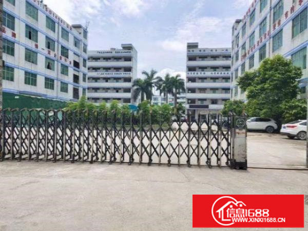 龙岗吉祥地铁附近一楼2300平方招租高度6米可大小分租