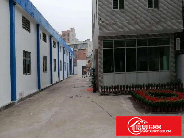 出租大朗美景西路单一层钢构厂房