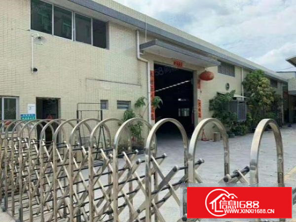 桥头镇原房东！单一层独门独院！厂房出租1600平方，水电齐全