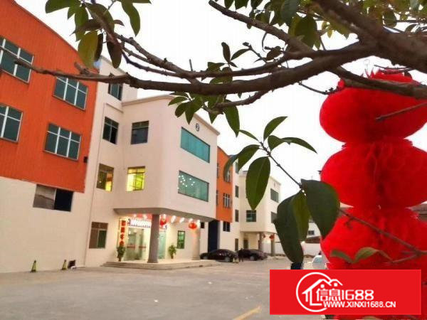 茶山镇南社《大湾区亿万产业园》招租