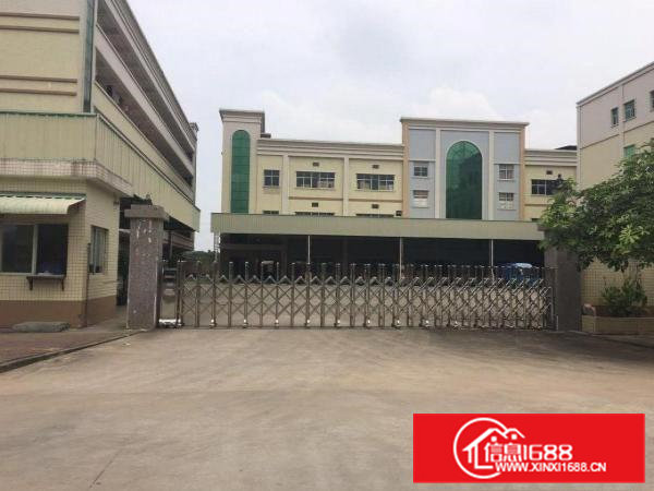 常平镇白石岗新出一楼1800平米标准厂房出租